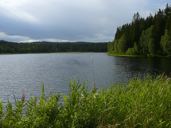 34+ Rosenhofer Teiche, See its history for attribution.